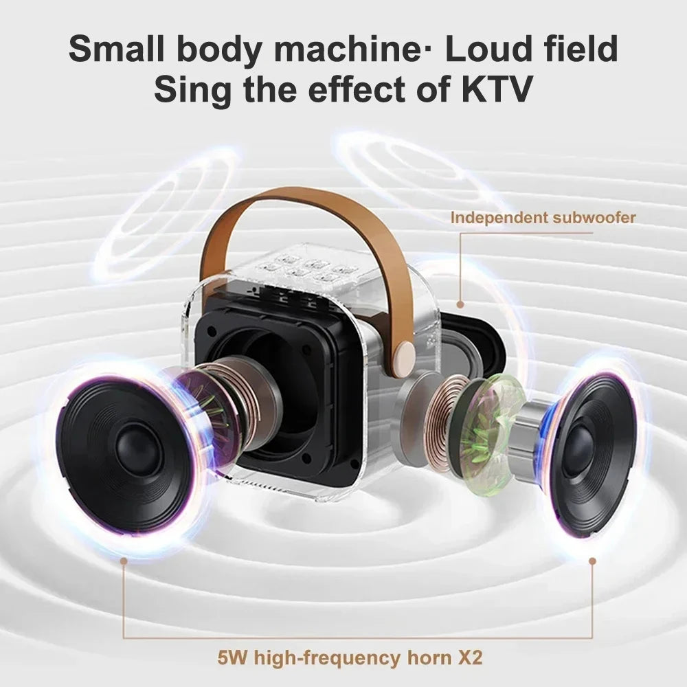 Wireless Karaoke Microphone