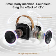 Wireless Karaoke Microphone