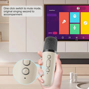 Wireless Karaoke Microphone